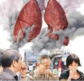&#20048;&#31454;&#23448;&#32593;&#45;&#20048;&#31454;&#40;&#20013;&#22269;&#41;&#19968;&#31449;&#24335;&#20307;&#32946;&#26381;&#21153;