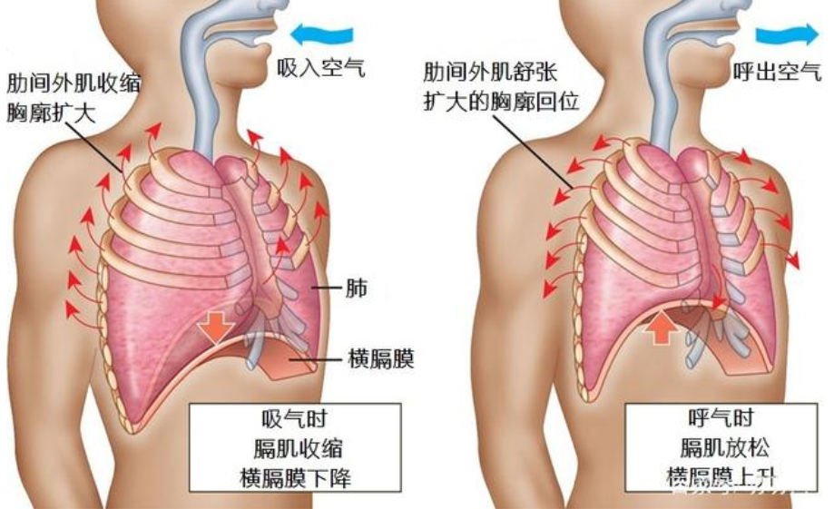 &#20048;&#31454;&#23448;&#32593;&#45;&#20048;&#31454;&#40;&#20013;&#22269;&#41;&#19968;&#31449;&#24335;&#20307;&#32946;&#26381;&#21153;