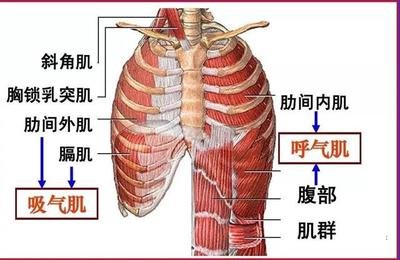&#20048;&#31454;&#23448;&#32593;&#45;&#20048;&#31454;&#40;&#20013;&#22269;&#41;&#19968;&#31449;&#24335;&#20307;&#32946;&#26381;&#21153;