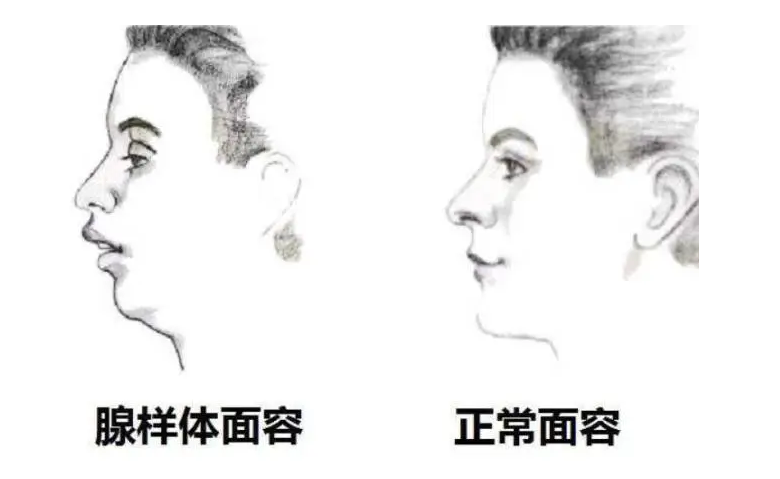 &#20048;&#31454;&#23448;&#32593;&#45;&#20048;&#31454;&#40;&#20013;&#22269;&#41;&#19968;&#31449;&#24335;&#20307;&#32946;&#26381;&#21153;