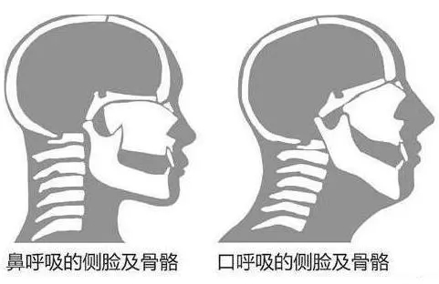 &#20048;&#31454;&#23448;&#32593;&#45;&#20048;&#31454;&#40;&#20013;&#22269;&#41;&#19968;&#31449;&#24335;&#20307;&#32946;&#26381;&#21153;