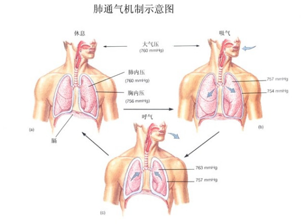 &#20048;&#31454;&#23448;&#32593;&#45;&#20048;&#31454;&#40;&#20013;&#22269;&#41;&#19968;&#31449;&#24335;&#20307;&#32946;&#26381;&#21153;