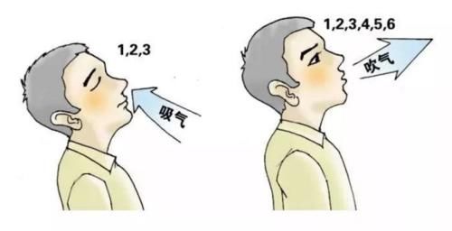 &#20048;&#31454;&#23448;&#32593;&#45;&#20048;&#31454;&#40;&#20013;&#22269;&#41;&#19968;&#31449;&#24335;&#20307;&#32946;&#26381;&#21153;