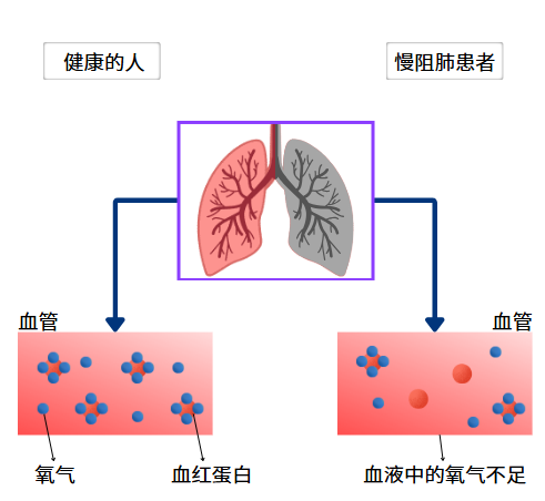 &#20048;&#31454;&#23448;&#32593;&#45;&#20048;&#31454;&#40;&#20013;&#22269;&#41;&#19968;&#31449;&#24335;&#20307;&#32946;&#26381;&#21153;